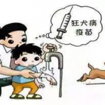 狂犬?。褐嫦?不恐狂