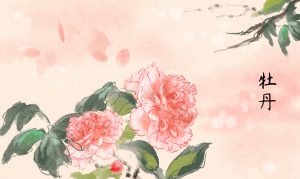 四月，牡丹花綻放|金迪克2022年4月優(yōu)秀質(zhì)量獎獲得者風(fēng)采展示